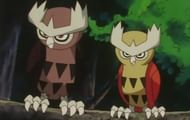 Noctowl and Shiny Noctowl (Image via The Pokemon Company)